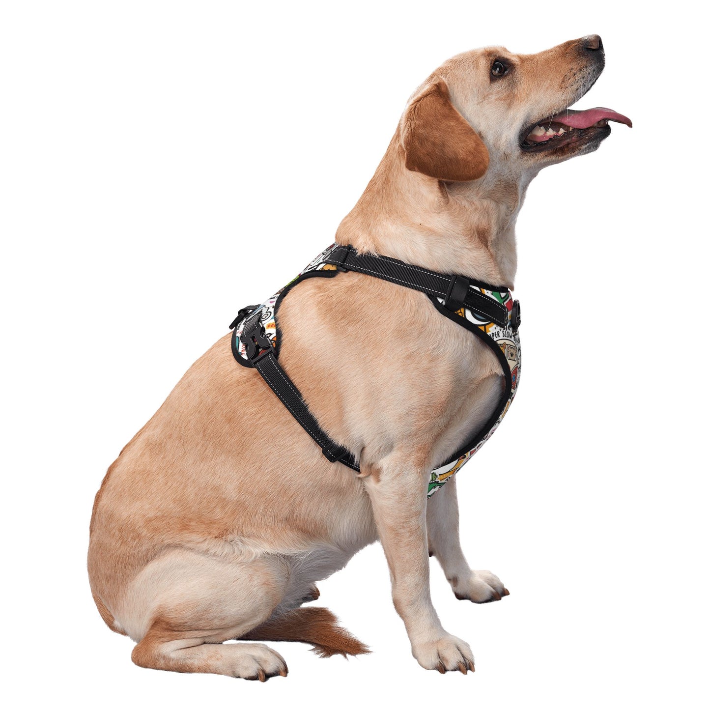 Dog Harness