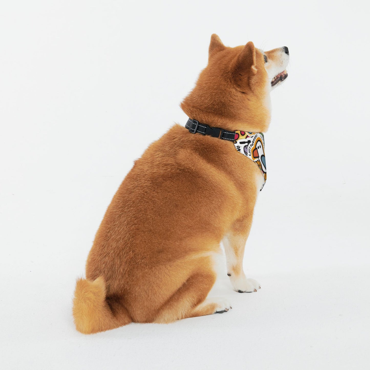Pet Scarf Cartoon Dog Bandanas