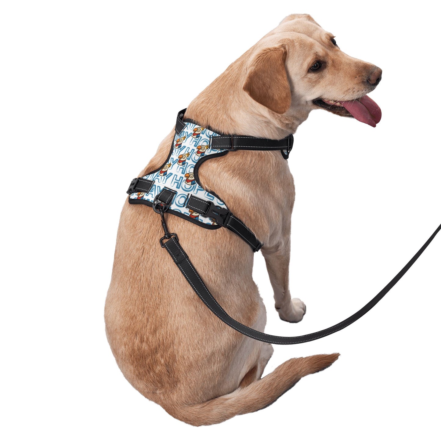 Dog Harness