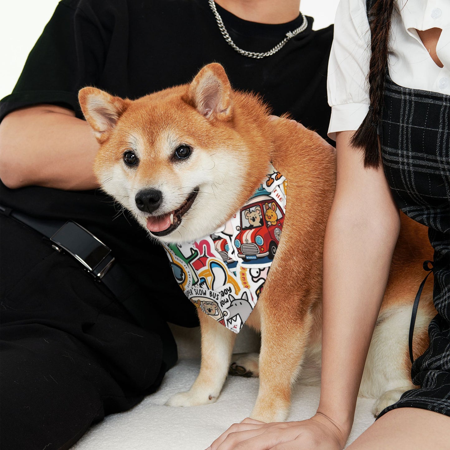 Pet Scarf Cartoon Dog Bandanas