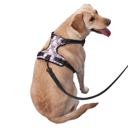 Dog Harness